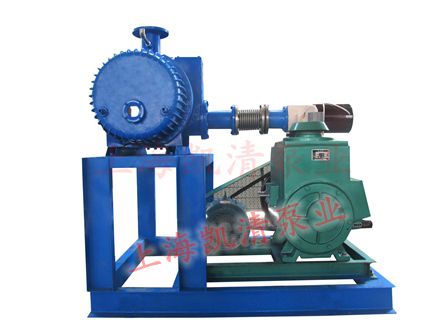 JZJX羅茨旋片機組圖示2